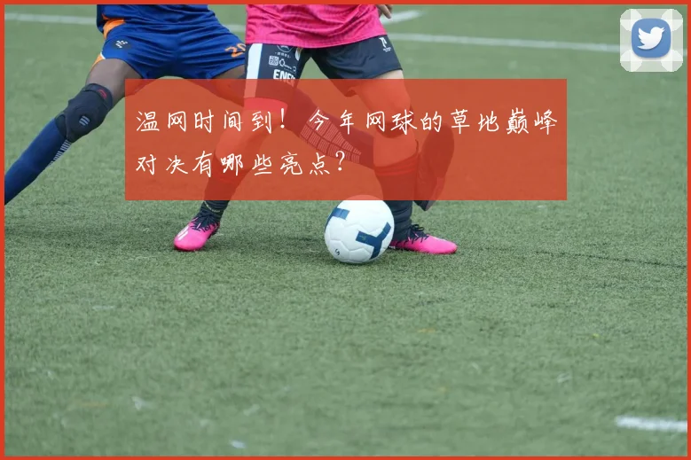 温网时间到！今年网球的草地巅峰对决有哪些亮点？
