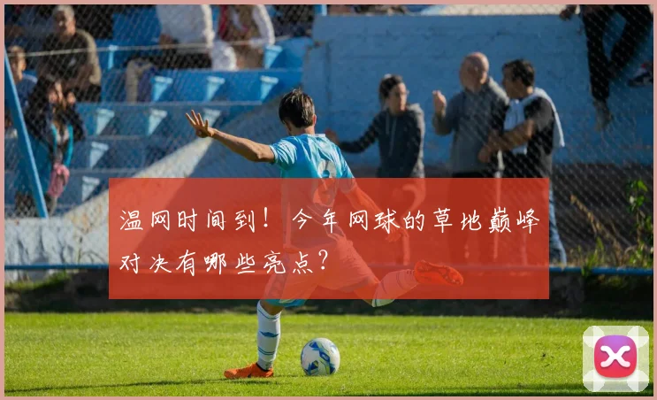 温网时间到！今年网球的草地巅峰对决有哪些亮点？