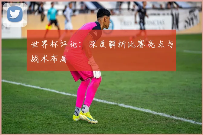 世界杯评论:深度解析比赛亮点与战术布局
